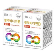 종근당 활력 비타민B 60정 2개