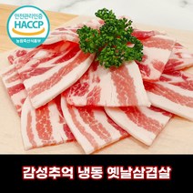 디에스미트 한돈 돼지고기 감성추억 옛날삼겹살 대패삼겹살 우시산한돈 냉동, 1ea, 1kg (500gx2ea)