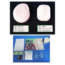 석고반죽 암모나이트 화석만들기 모형틀 5인 교육완구 영재과학 유치원 호기심 DIY
