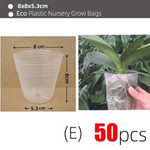 콩나물키우기 야채 오이 대파 숙주 키우기 모종판 미니온실 정원 보육 냄비 식물 성장 18 크기 투명 플라스틱 심기 꽃 과일 및 야채 이식 용품 도구, 전자 - 8x8x5.3cm