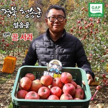 경북 청송 GAP 인증 얼음골 꿀 부사 사과 5kg 10kg 문경 감홍 홍옥 풍기 시나노스위트 엔비 아리수 영주 사과, 명품 부사 10KG 중대과(30과내외)