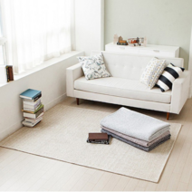 누리홈 극세사 퍼블릭 러그 중형 150x200 인테리어 카페트