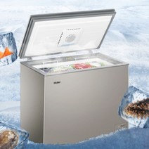 급냉고 급속 동결기 참치 냉동고 200L 냉동기 가정용, 100리터-영하 40도