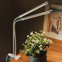 브루이 LED 바형 식물등 식물 전구 조명 생장등 성장등 성장조명 조명등 재배등 화이트 2구, 1개