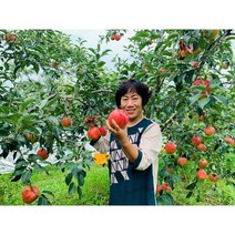 충북 음성 사과 껍질째먹는 꿀사과 부사 가정용 얼음골 5kg, 10kg 대과 [36~38과], 1개