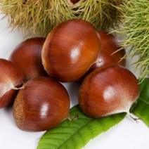 충주밤(대) 23년 햇밤 개시 (이장님네 농산물), 1개, 2kg