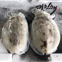 [냉동수입갑오징어] 맛있는 냉동 초밥용 갑오징어 10g 20미, 1, 본상품선택