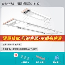 【신상】굿 마담 스텔스 전동 빨래건조대 베란다 히든폴딩 자동 스마트 리프트 쿨링, 05 【D-3137】화이트+루브골드+음성+조명