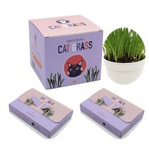 기타 캣그라스 리필세트 고양이키트 식물키우기 캣닢 귀리 밀 보리 재배 반려묘 헤어볼 작물 새싹 간식 씨앗, 캣닢세트(본품1개+리필키트2개)