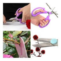 분재용 가위 아이디어상품, 1개