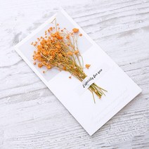 생일축하카드 팝업카드 메세지 세트선물 카드 결혼식 초대장 인사말 카드, 04 Gypsophila orange