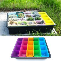 골든트리 칼라 화분 배수 받침대 화분컵 사각 20칸 세트 다육이 식물 모종 꽃화분, 랜덤색상 화분컵20개 + 20칸화분받침대