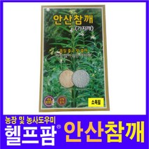 헬프팜 안산참깨 3천립 씨앗 종자 KS종묘