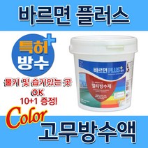 1L 바르면 플러스 컬러 고무탄성 방수페인트 어디나 침투 지붕 옥상 방수 내외벽 베란다 텐트 우레탄 에폭시 발수 콘크리트 마루 목재 철재 벽돌 타일 판넬 몰탈면 드라이비트 크랙, 바르면 PLUS컬러 1L, 투명, 1개