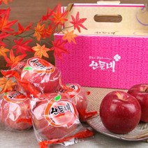 산들네 [산들네] 22년산 껍질째 먹는 경북 세척사과 3kg 16~17과내, 1