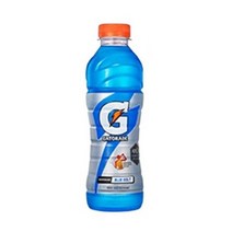 게토레이 블루볼트 펫, 500ml, 30개입