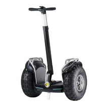 성인용 전동휠 전동카트 투휠보드, 배터리2개-주행 90km, 60V