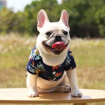도그월드 강아지옷 봄 여름 하와이안 셔츠 XS-5XL, 하와이안 셔츠 화이트