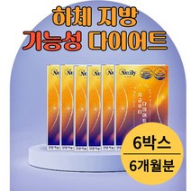 하체 다리 발목 얇아지는법 살빼기 알빼기 살빼는법 종아리 허벅지 살 안쪽살 빼기 다이어트 체중 감소 감량 건강 기능 식품 가르시니아 HCA