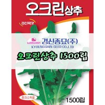 경신종묘 오크린상추 1500립 파종용 상추 씨앗
