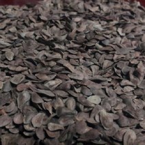 백하수오씨앗 100립/1000립/큰조롱씨앗/백수오씨앗, 1000립