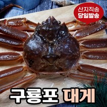 [당일발송] 영덕대게 생물 자숙 포항 구룡포 국내산, 6.영덕대게 대 (10~11cm) 5미