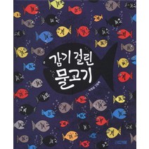 감기 걸린 물고기, 사계절