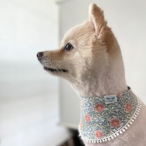 강아지 고양이 꽃무늬 레이스 면스카프 애견 명품 케이프 반다나, S