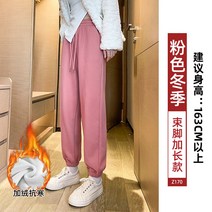 스커트 여자 추동 계절이 두텁다 묵히다 하렘팬츠 겨울솜바지