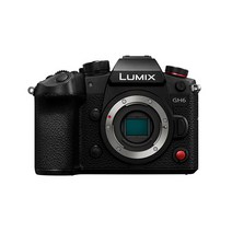 파나소닉 LUMIX DC-GH6