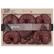 [문상영 버섯] 국산 유기농 영지버섯, 1box, 500g 원형