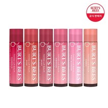 버츠비 +립밤 필로우케이스증정 틴티드립밤 립밤 1+1 6종 택2, 05_데이지/04_지니아