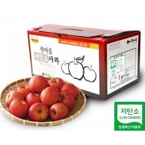 껍질째 먹을수 있는 장성사과(부사 대 5kg 17~20과)
