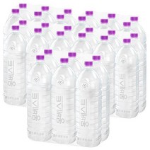 몽베스트 암반수 Montbest 생수 무라벨 2L X30개 소진시 유라벨