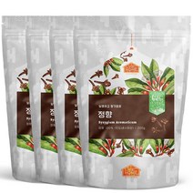 닥터비옴 향신료 정향 200g x 4개