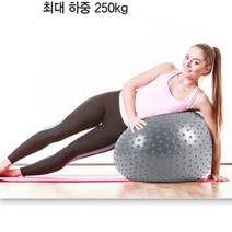 마사지 짐볼 65cm 3종 택1 대형 짐볼운동법 마사지 임산부짐볼 크기 필라테스공 요가짐볼 사이즈 밸런스 다이어트 운동볼 홈트레이닝기구 홈트운동기구 짐볼추천 필라테스짐볼 요가용품 요가짐볼 짐볼운동 요가볼 마사지짐볼 마사지볼 대형짐볼, 알라스칸블루