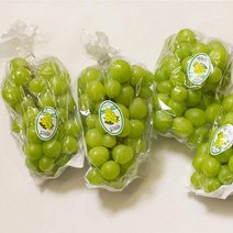 [과일구독] 샤인머스켓 망고포도 샤인머스캣 김천샤인머스켓 김천앤 포도 청포도 선물세트 에어백포장 2kg, 샤인머스켓 특상급 2k(3-4송이) 판매자추천