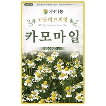 썸머 세이보리 1g - 허브 허브씨 허브씨앗 씨 씨앗 세이보리씨앗 세이보리씨 꽃씨 꽃씨앗 허브꽃 Savory, 06_다농_카모마일(1g)