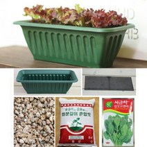 [천삼백케이] [행복한 세상] [행복한세상]채소키우기세트(중)DIY, 채소키우기(중)-시금치