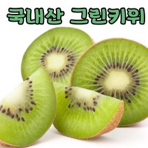 국내산 고당도 골드키위 그린키위 중과 대과 특대과 2kg 5kg, 국산 그린키위 5kg 특대 44개내왜