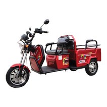 노인용 2인승 시골 스쿠터 화물 전동차 오토바이 EG-200