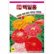 (아시아종묘/꽃씨앗) 백일홍(200립)