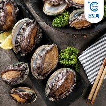 완도 활 전복 22-25마리 1kg (소) 실속포장, 단품