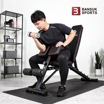 반석스포츠 스케일 맥스트레이너 각도조절벤치 평벤치 운동 홈트레이닝 홈트 헬스 벤치