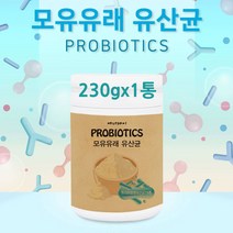 LGG 모유유래 유산균 분말 가루 파우더 프로 프리 신 바이오틱스 락토바실러스 가세리 람노서스 19종 FOS 프락토올리고당 복합균주 대용량 차 여성 어린이 패밀리 장건강 국내산, 1개