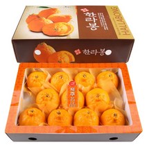 한라봉 3kg 중 (11~13과)/제주도직배송, 일반포장