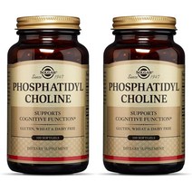 솔가 Solgar Phosphatidylcholine 포스파티딜콜린 100소프트젤 2팩, 1개, 1, 1개