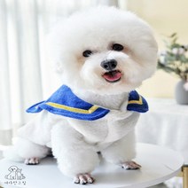 반려견 강아지 마린룩 바다 오리발 오리 뽀글이 옷, L