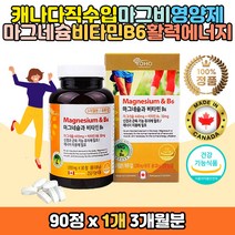 온가족 포뮬러 비타민B 6 영양제 마그네슘 에너지 정 캐나다 직수입 완제품 코스트코 마그비 440mg 신경 근육 떨림 보충제 개선제 운동선수 청소년 직장인 주부 남편 활력 시니어 중년 노인 여성 남성 체력 보강 효도 선물 추천 코스트코