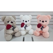 플라워베어 로즈베어 꽃을 든 곰 인형 봉제인형 선물 27cm, 연지회색